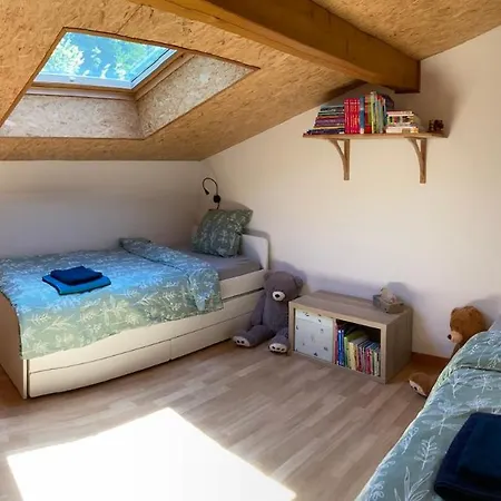 Au Bord Du D'annecy Chalet *