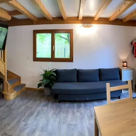 Au Bord Du D'annecy Chalet Doussard